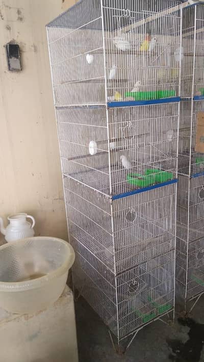 4 Portion Cages For Sale
