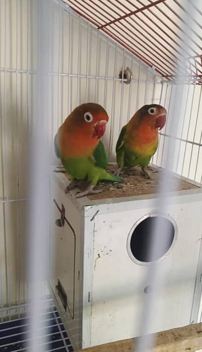 Interesting People Contact