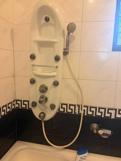 Shower panel washroom