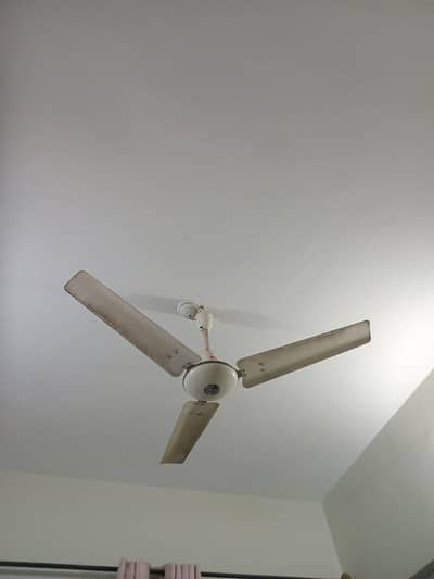 fan for sale