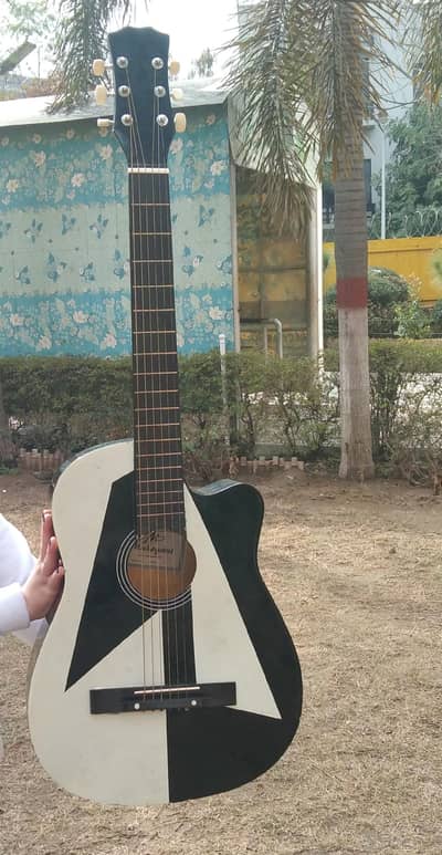 Selling beginners guitar