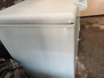 Hair double door freezer  for sale urgent