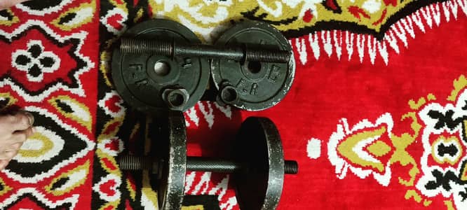 pure iron dumbbells 8/8kg