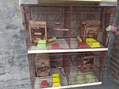 Iron folding Cages 3 ft,  (1.5 × 1.5) partitions