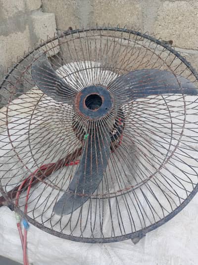 12 volt fan or sular plet