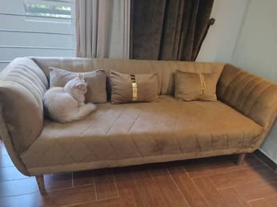 5 seater sofa + deewan + table