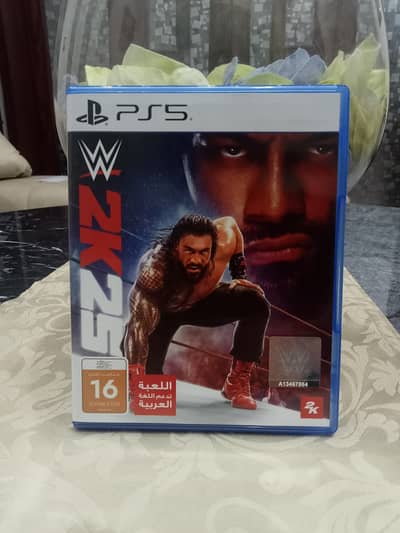 PS5 WK25 Scratchless Twice Used only