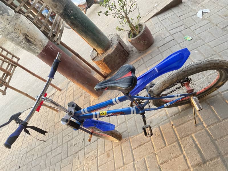 Cycle double frame 1