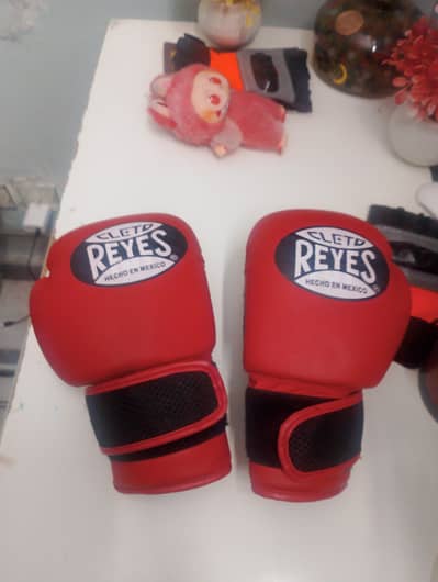 boxing gloves 4 oz