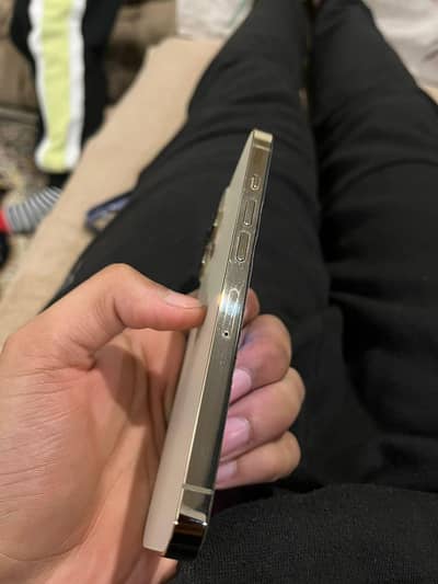 iphone 13 pro lush condition