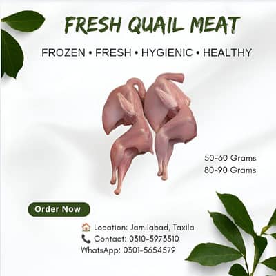 Fresh Quail Meat