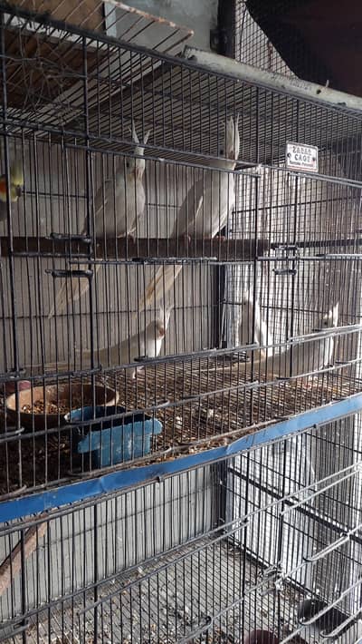 cocktails and boxes available