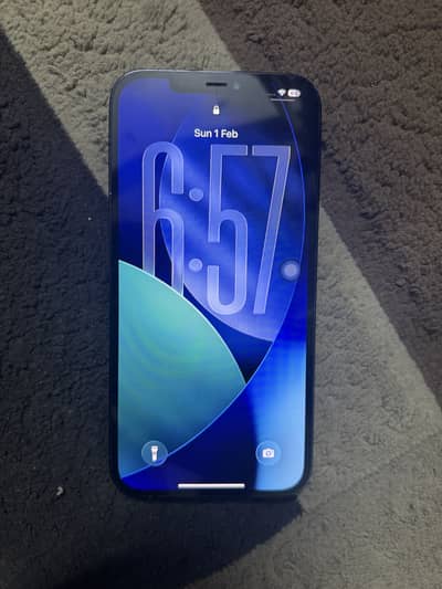 12 pro max factory unlocked non PTA