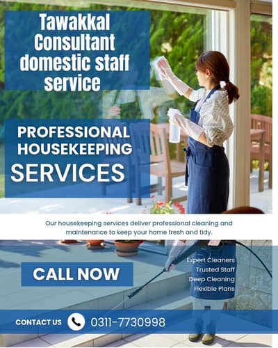 Provide Housemaid / Babysitter / Patient Attendant / Drivers / Cook