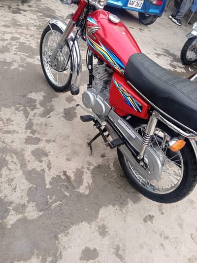 lush conditon for sale 03135779514