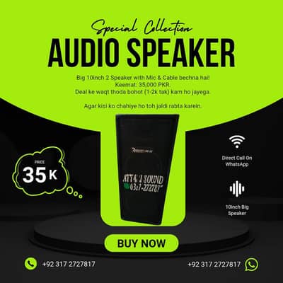 Big 10inch 2 Speaker with Mic & Cable