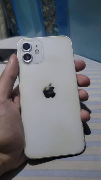 Iphone 12 ( 64 GB )