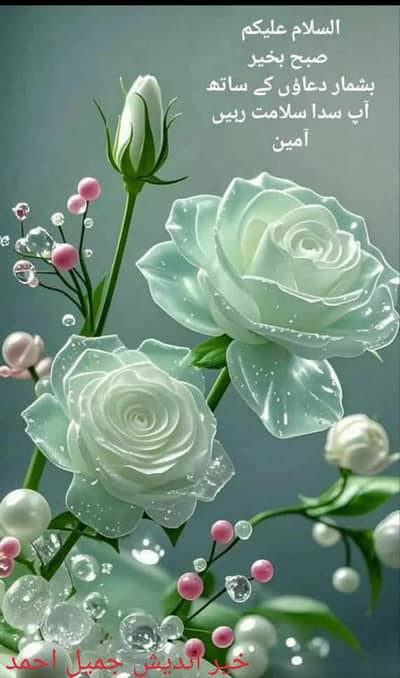 SPA services for females