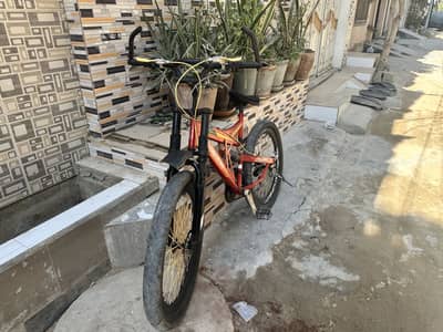 Italiano Excellent Condition bicycle urgent Sell