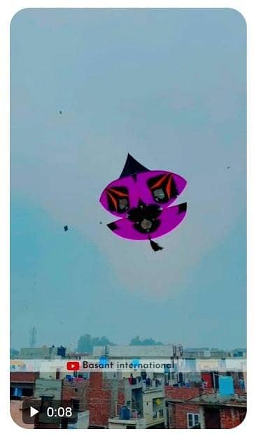 kite flying/ Big roof for kite flying