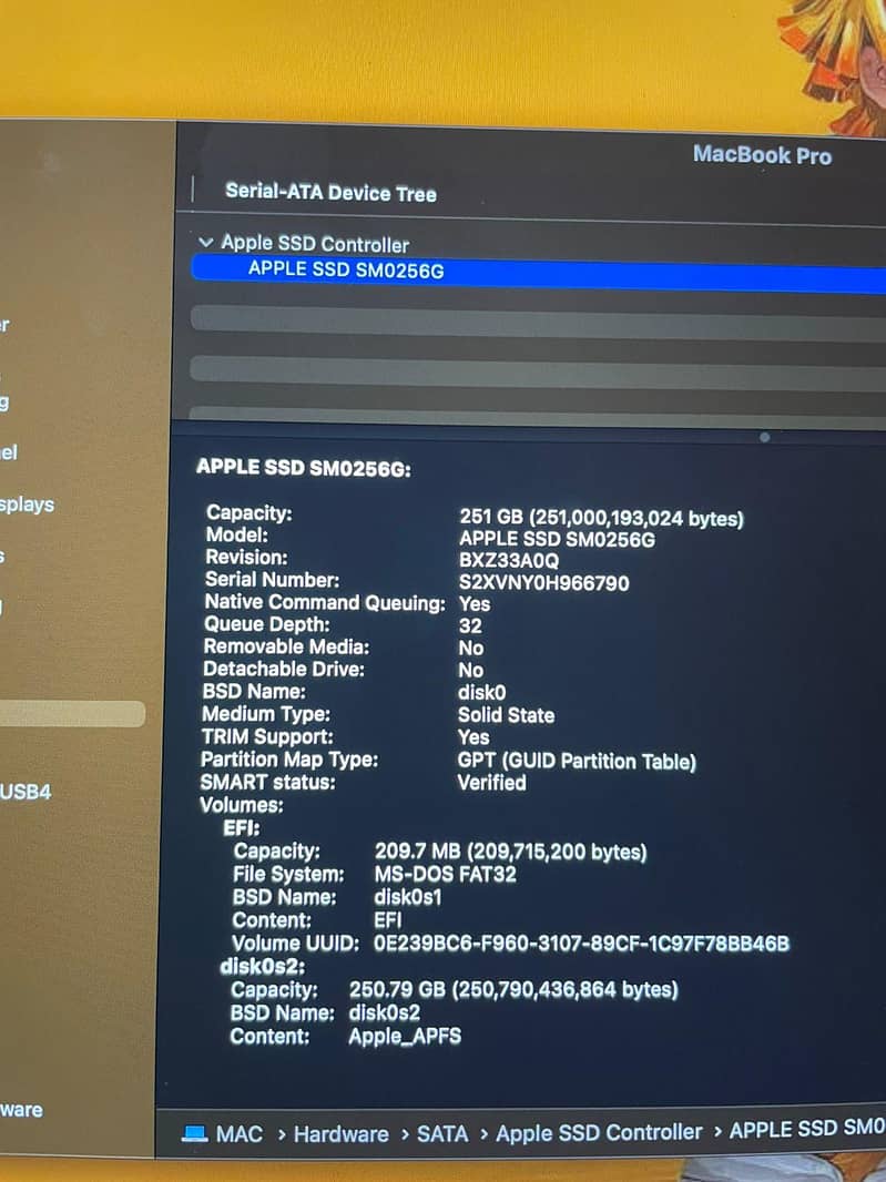 MacBook Pro mid 2015 7