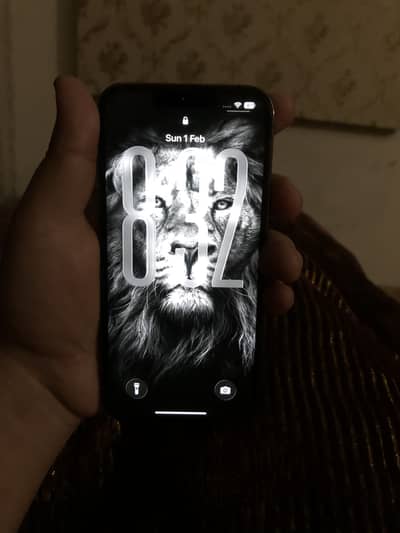 Iphone 13 pro non pta