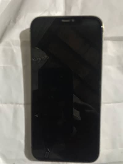 12 pro max model number MG9F3LL/A 256 GB