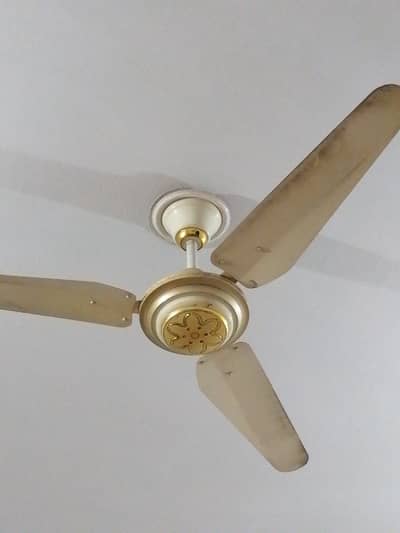 Fan in good condition