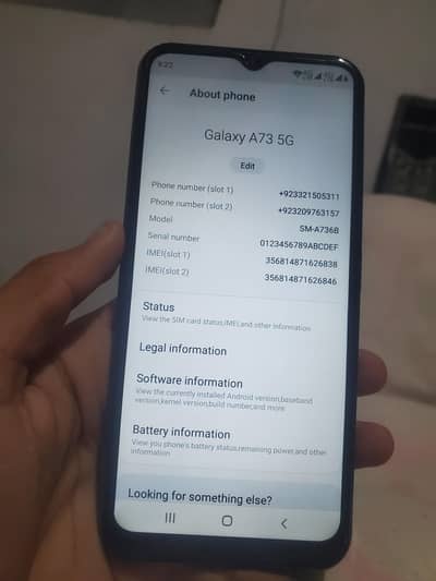 Sumsung A73 (Read Ad)