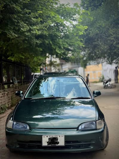 Civic Honda Dolphin