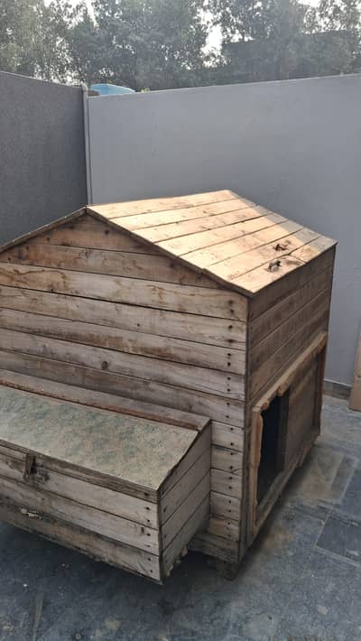 Chicken Cage western Style