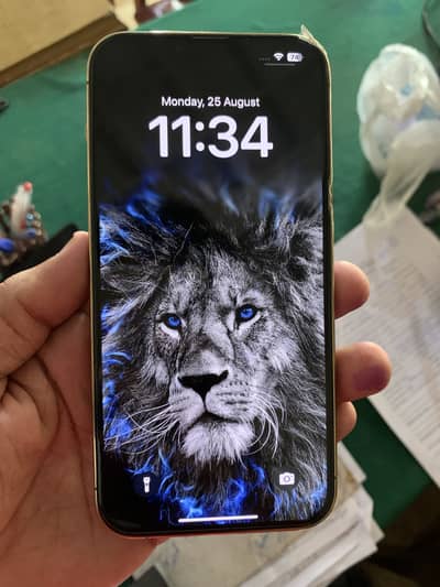 Iphone 13 pro max 256Gb Gold edition non pta