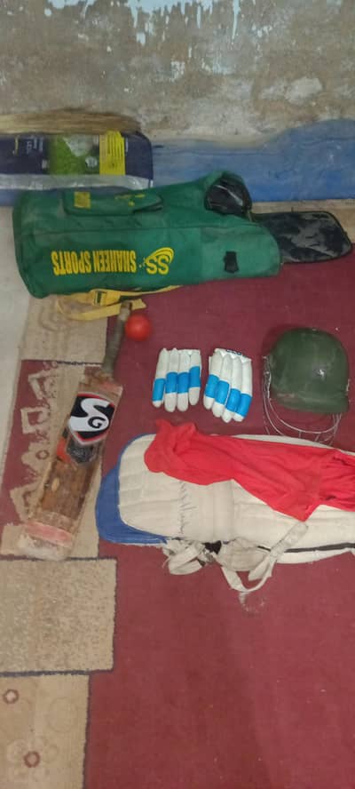 cover helmet kit bag bat pets for sell