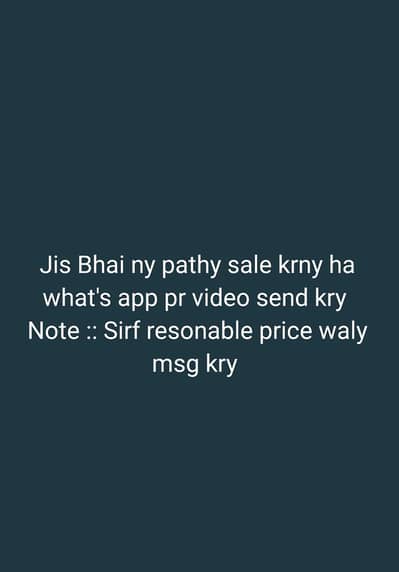 required 03127142751