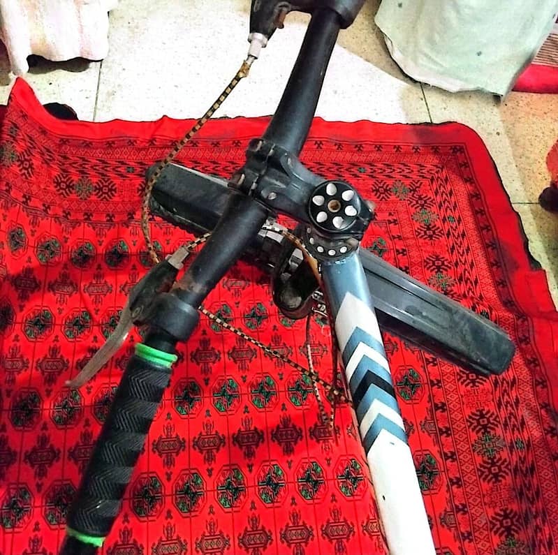 well maintained bicycle 4