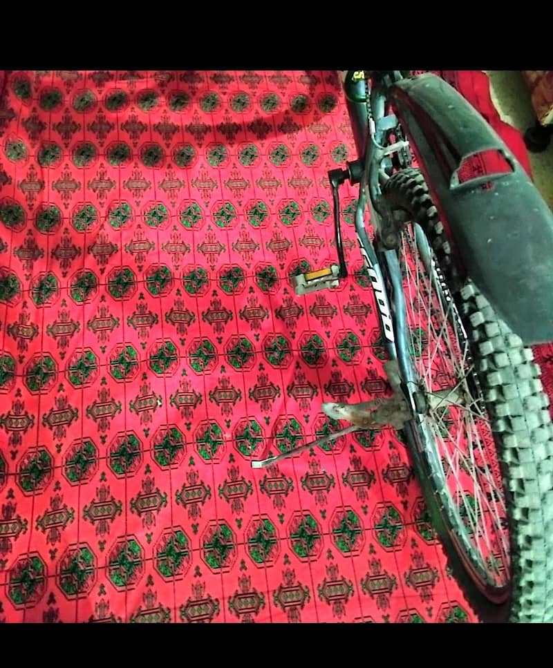 well maintained bicycle 5