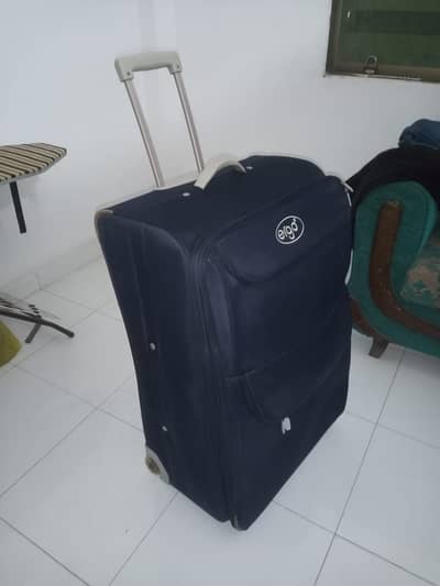 Ergo Suitcase