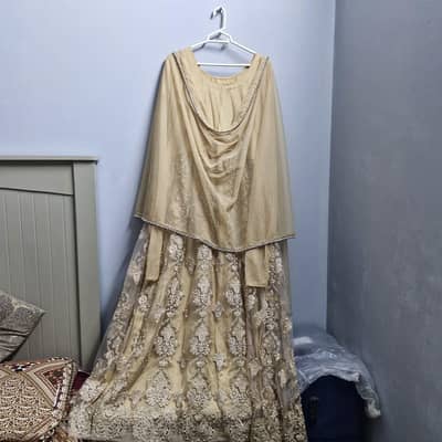 Champaign golden Maxy