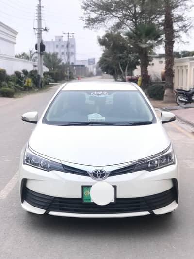 2017 Gli new addition