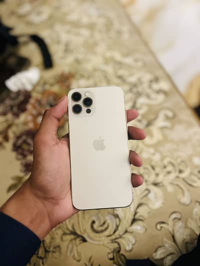 iphone 12 pro waterpack