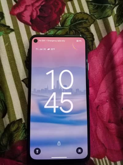 black color only back break