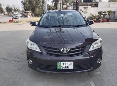 Gli 2012/13 Red Vine