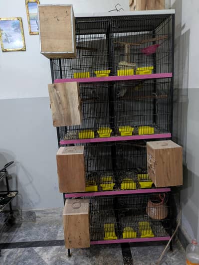 2 cages big size reasonable price sale only 1 month use urgent sale