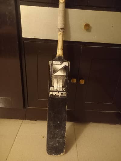 Cricket Bat