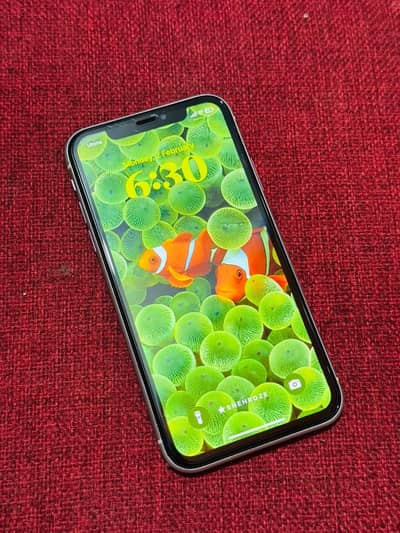 iPhone XR 128gb Approved