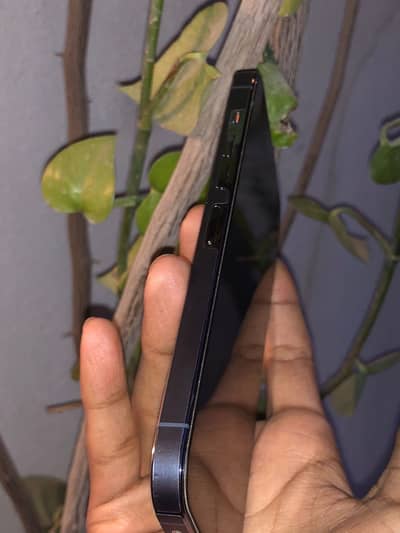 iPhone 13 Pro Max non pta