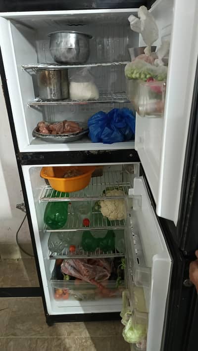 5 sall ke warante he