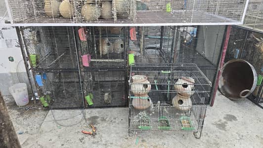 angle mai different cages available achi halat mai hai