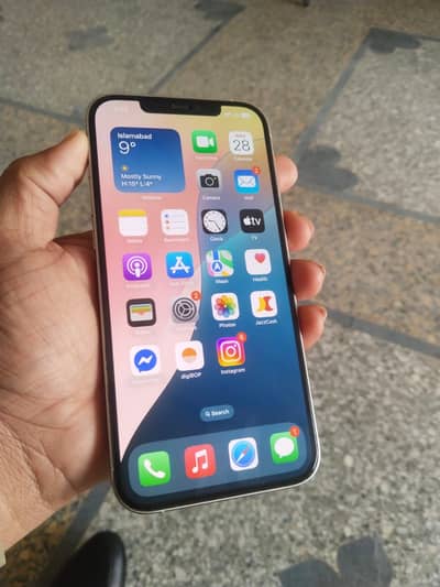 12 Pro Max white 10 x 10