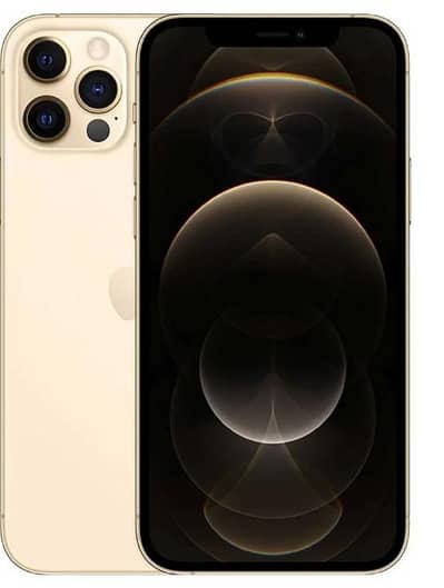 1212 pro max256 gb golden with charger or data cable